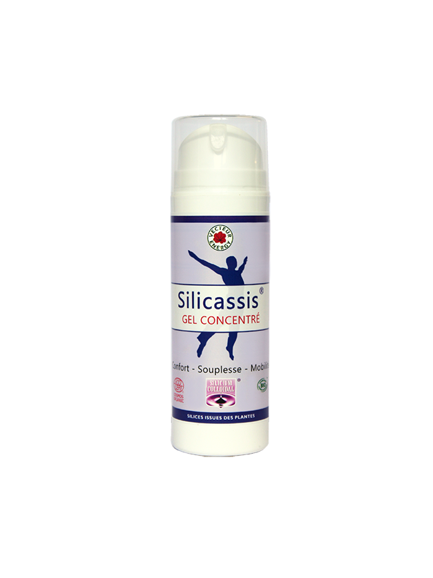 SILICASSIS Gel concentré
